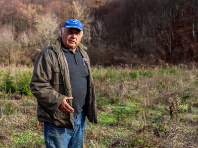 Proizvodnja božićnih drvaca kod Đure Japarića