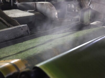 Proizvodnja čaja u Keniji