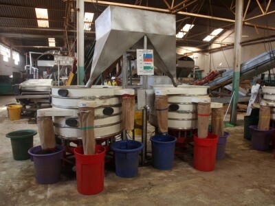 Proizvodnja čaja u Keniji