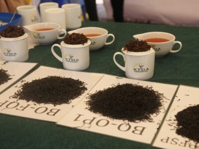 Proizvodnja čaja u Keniji