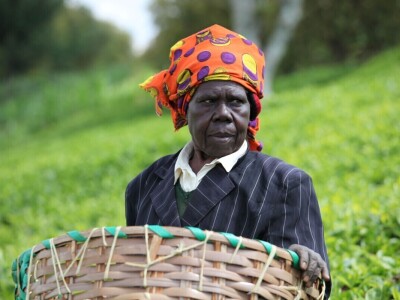 Proizvodnja čaja u Keniji