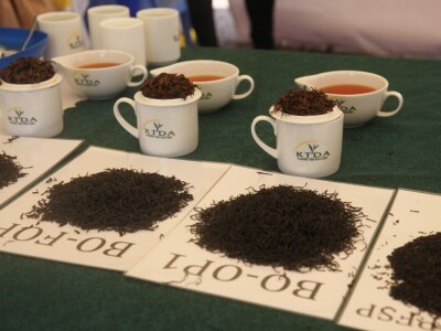 Proizvodnja čaja u Keniji