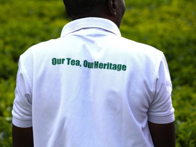 Proizvodnja čaja u Keniji