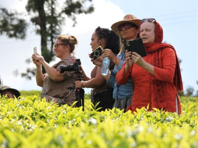 Proizvodnja čaja u Keniji