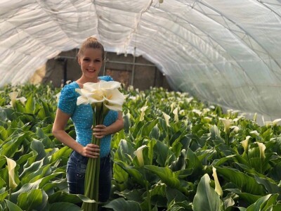 Proizvodnja cveća- isplativ biznis na malim površinama