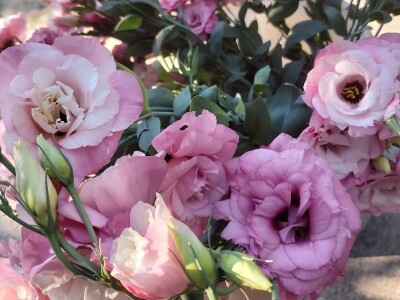 Proizvodnja cveća- isplativ biznis na malim površinama