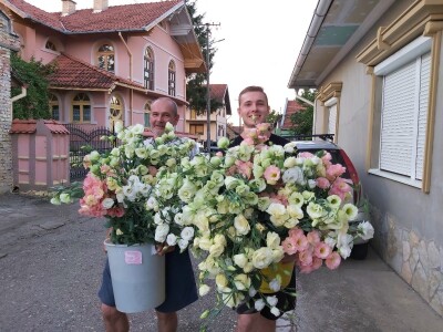 Proizvodnja cveća- isplativ biznis na malim površinama