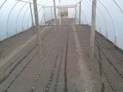 Proizvodnja cveća- isplativ biznis na malim površinama