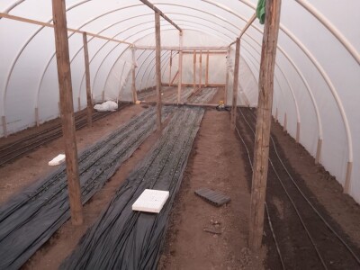 Proizvodnja cveća- isplativ biznis na malim površinama