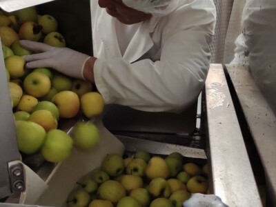 Proizvodnja Jurišić d.o.o. iz Paukovca