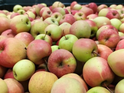 Proizvodnja Jurišić d.o.o. iz Paukovca