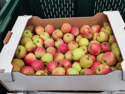 Proizvodnja Jurišić d.o.o. iz Paukovca