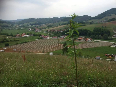 Proizvodnja kornšona