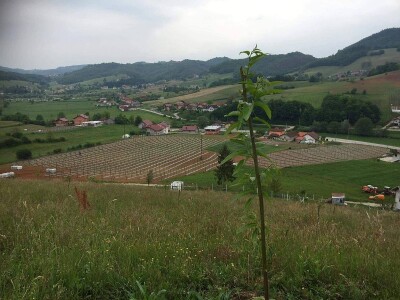 Proizvodnja kornšona