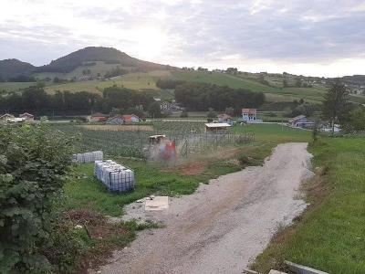 Proizvodnja kornšona