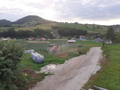 Proizvodnja kornšona