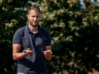 Proizvodnja lješnjaka PP Orahovica