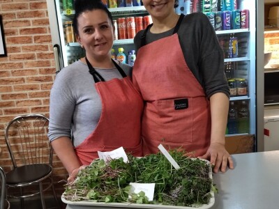 Proizvodnja mladih izdanaka na PPF UNSA Proizvodnja mladih izdanaka na PPF UNSA