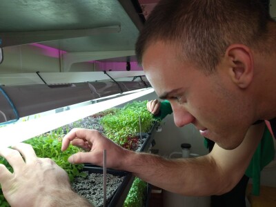 Proizvodnja mladih izdanaka na PPF UNSA Proizvodnja mladih izdanaka na PPF UNSA