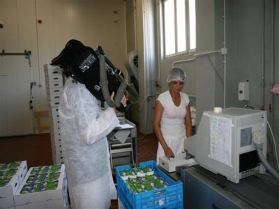 Proizvodnja mliječnih proizvoda