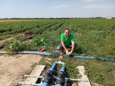 Proizvodnja paprike, Dejan Čule