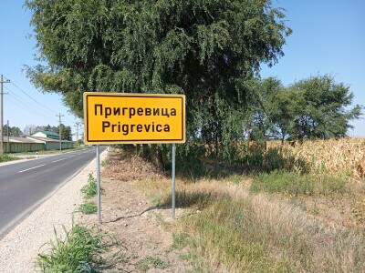 Proizvodnja paprike, Dejan Čule