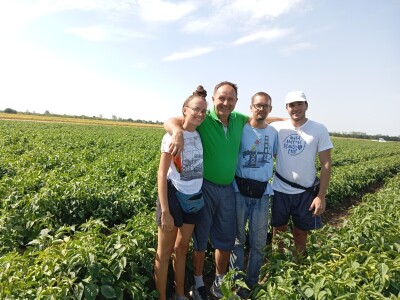 Proizvodnja paprike, Dejan Čule