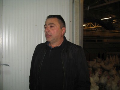 Proizvodnja pilića - posao u kome bi imalo mesta na tržištu!