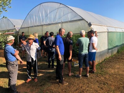 Proizvodnja rajčice u kokosovim jastucima na PO Agropin