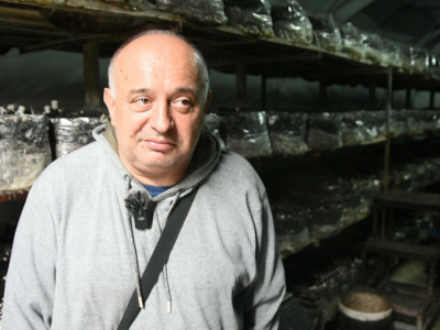 Proizvodnja šampinjona u Ugrinovcima Proizvodnja šampinjona u Ugrinovcima