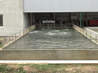 Proizvodnja šarana, proizvodnja koja donosi zaradu