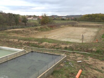 Proizvodnja šarana, proizvodnja koja donosi zaradu