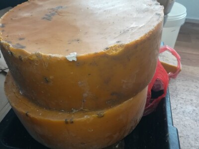 Proizvodnja satnih osnova od čistog voska