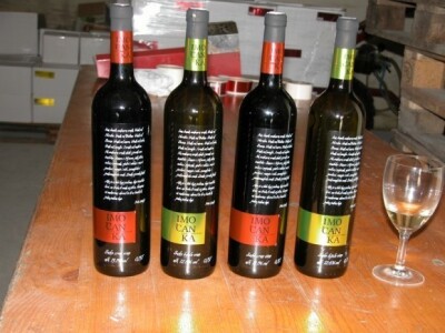 Proizvodnja vina - BPZ Imoćanka