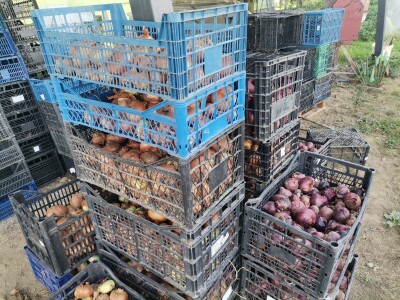 Proizvodnju počeo bez podrške, danas ne stiže zadovoljiti potražnju