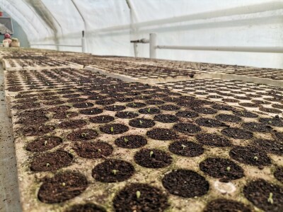 Proizvodnju počeo bez podrške, danas ne stiže zadovoljiti potražnju