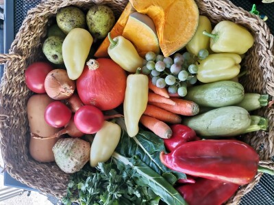 Proizvodnju počeo bez podrške, danas ne stiže zadovoljiti potražnju