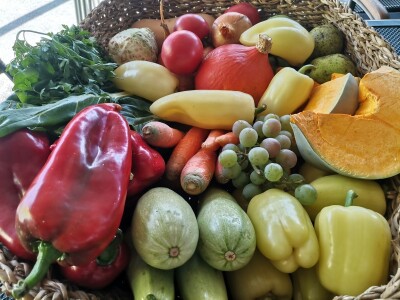 Proizvodnju počeo bez podrške, danas ne stiže zadovoljiti potražnju