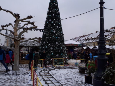 Projekt "Bee friends"