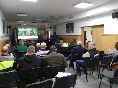 Projekt Carnivora Dinarica