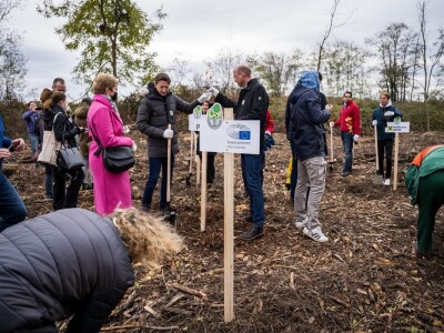 Projekt CO2MPENSATING BY PLANTING Projekt CO2MPENSATING BY PLANTING