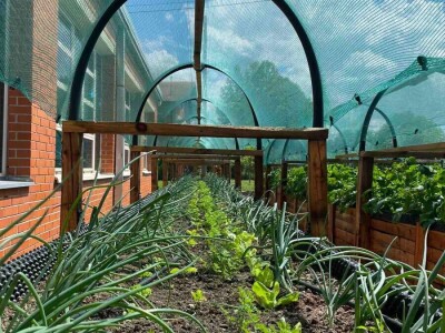 Projekt HobIT: Uzdignute gredice