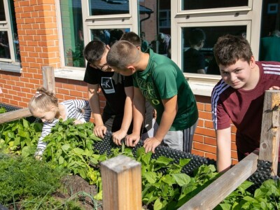 Projekt HobIT: Uzdignute gredice