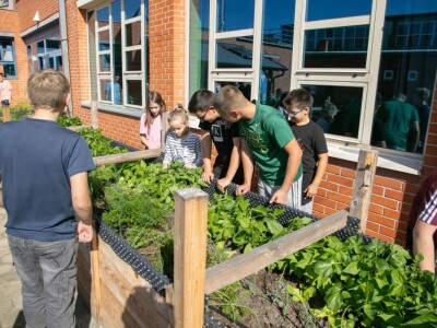 Projekt HobIT: Uzdignute gredice
