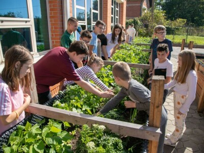 Projekt HobIT: Uzdignute gredice