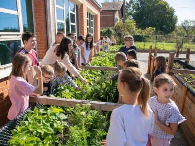 Projekt HobIT: Uzdignute gredice