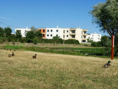 Projekt suzbijanja invazivnih stranih vrsta u Istri