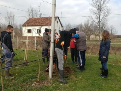 Projekti u poljoprivredi