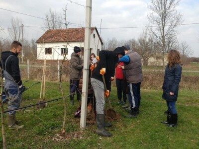 Projekti u poljoprivredi