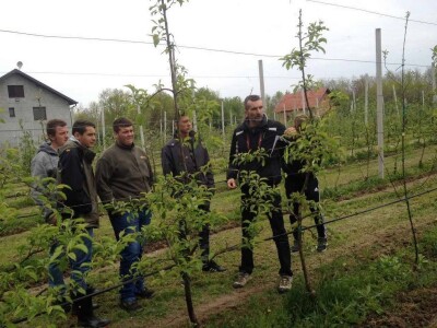 Projekti u poljoprivredi